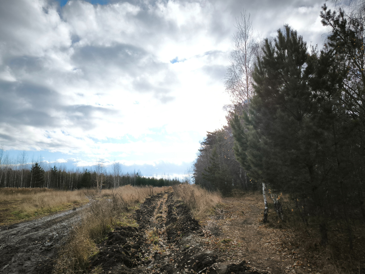 До свидания, Красный бор!