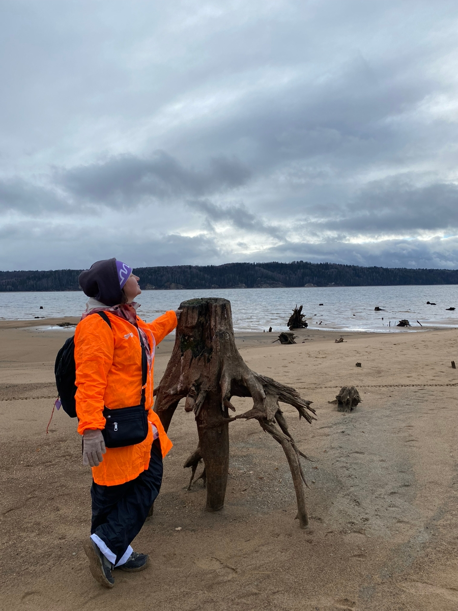 Не садись на пенек, не ешь пирожок.. 