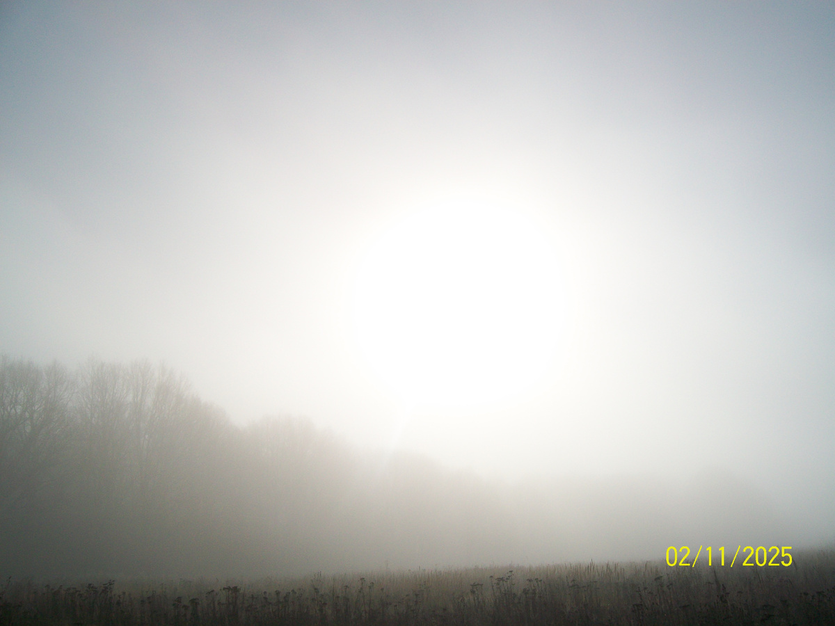 Личное фото