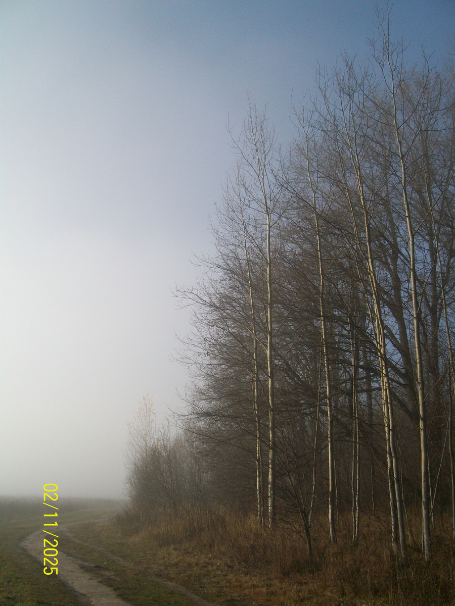 Личное фото