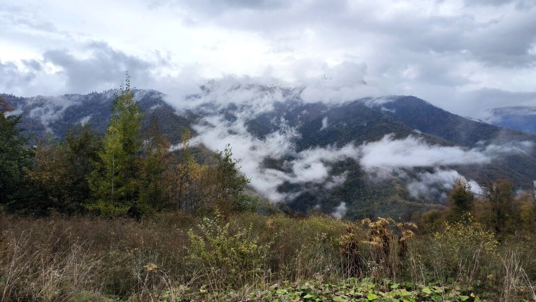    Maksim Konstantinov/Globallookpress