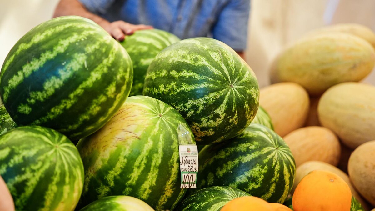    Фото: ИЗВЕСТИЯ/Сергей Лантюхов