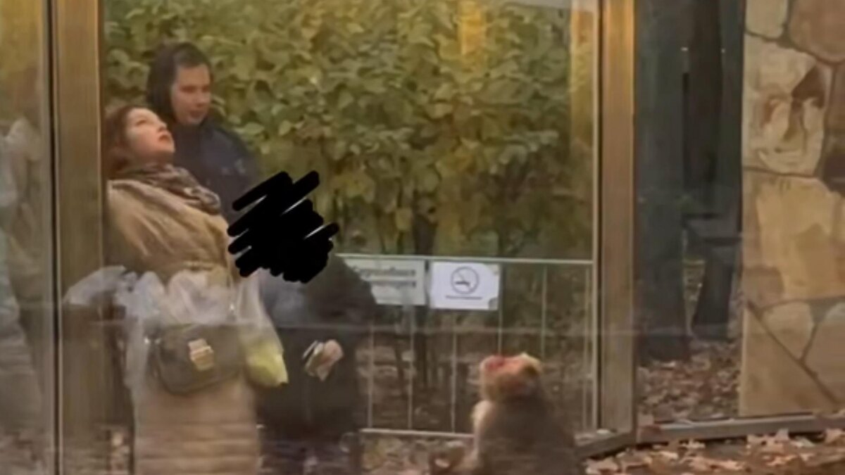    Фото: t.me/lenzoopark