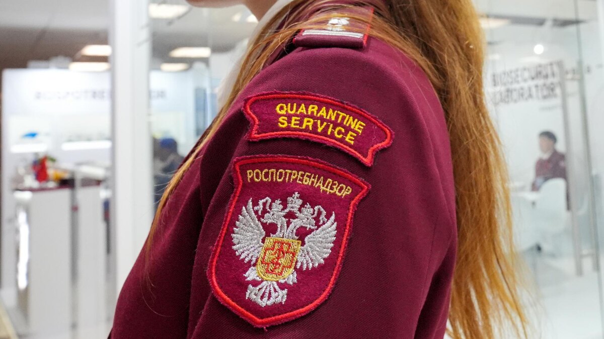    Фото: ИЗВЕСТИЯ/Андрей Эрштрем