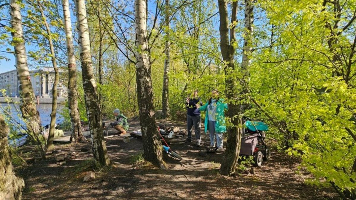    Фото: t.me/zarosli_place