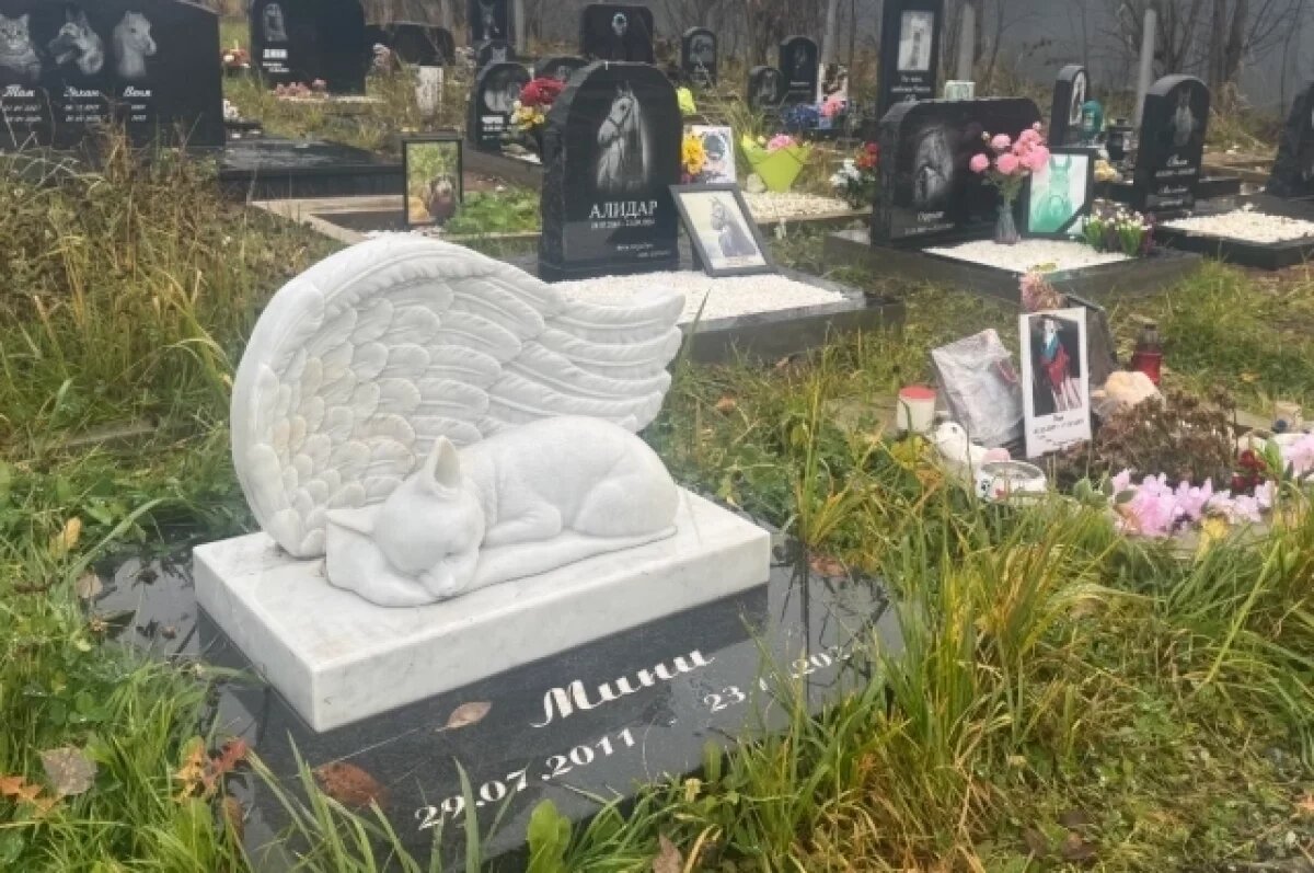    Собачья смерть.