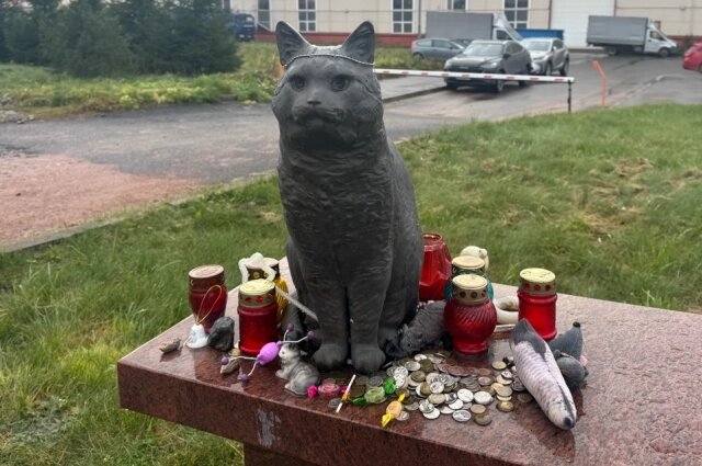    Такой котик встречает посетителей при входе на кладбище домашних любимцев. Фото: spb.aif.ru/ Арина Кулешова
