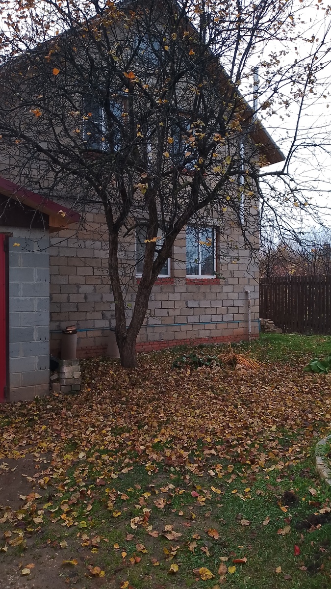 Наш городской сад.так было неделю назад