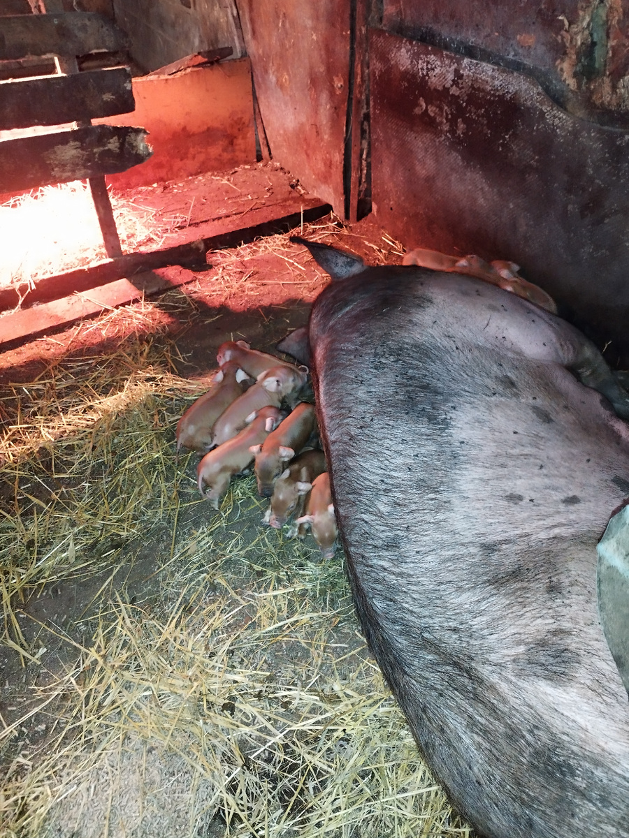 Фото, что б пусто не было