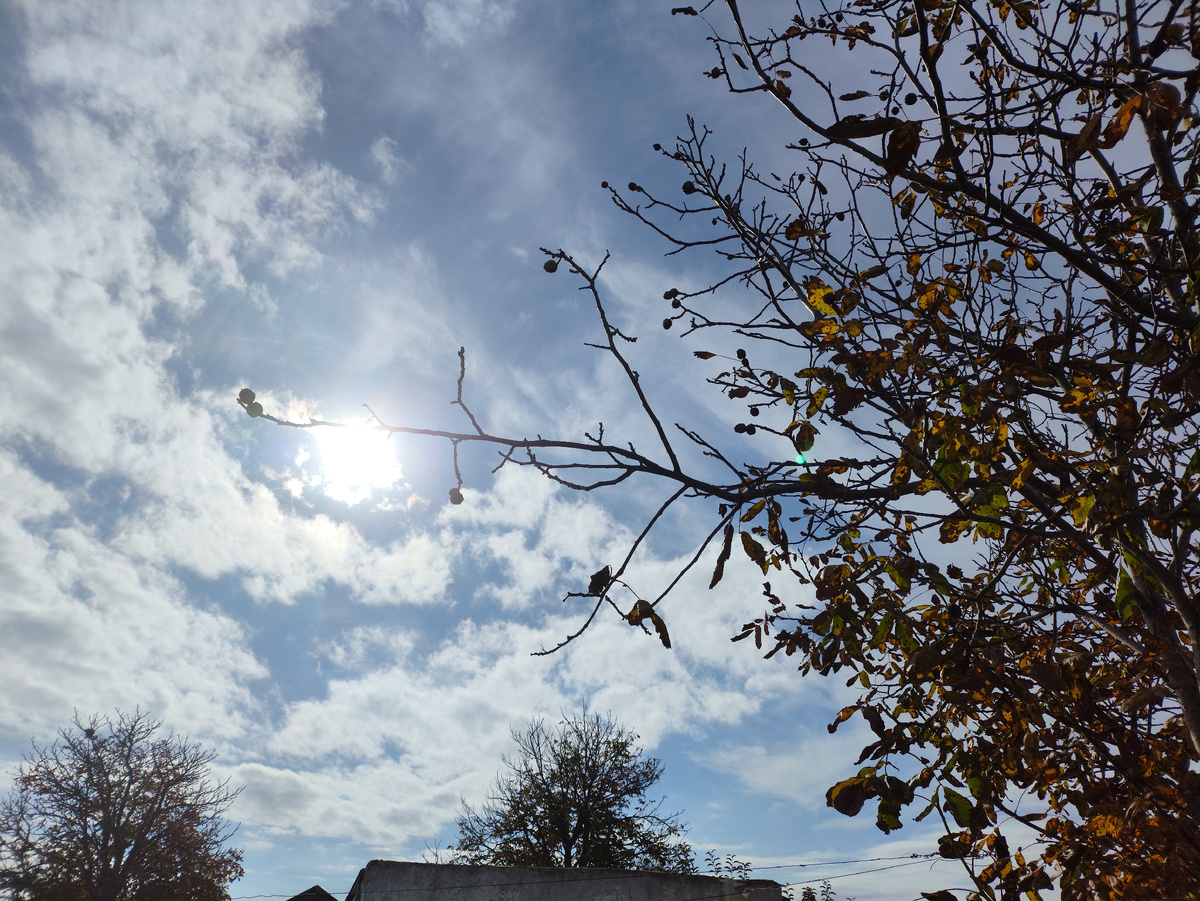 Денек был солнечный и теплый