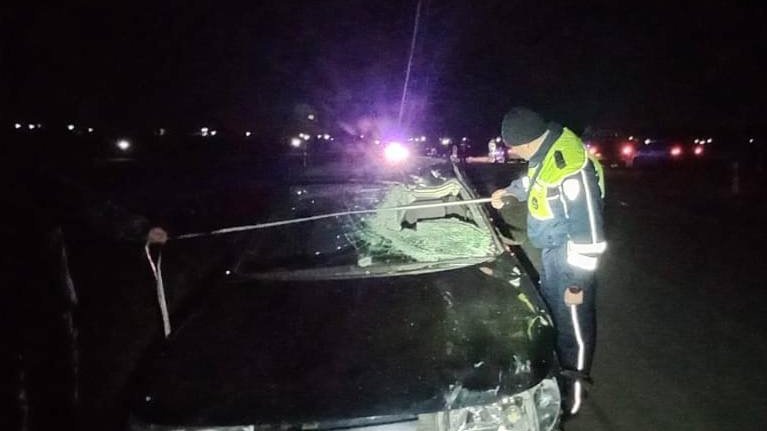    Фото: ГАИ Свердловской области