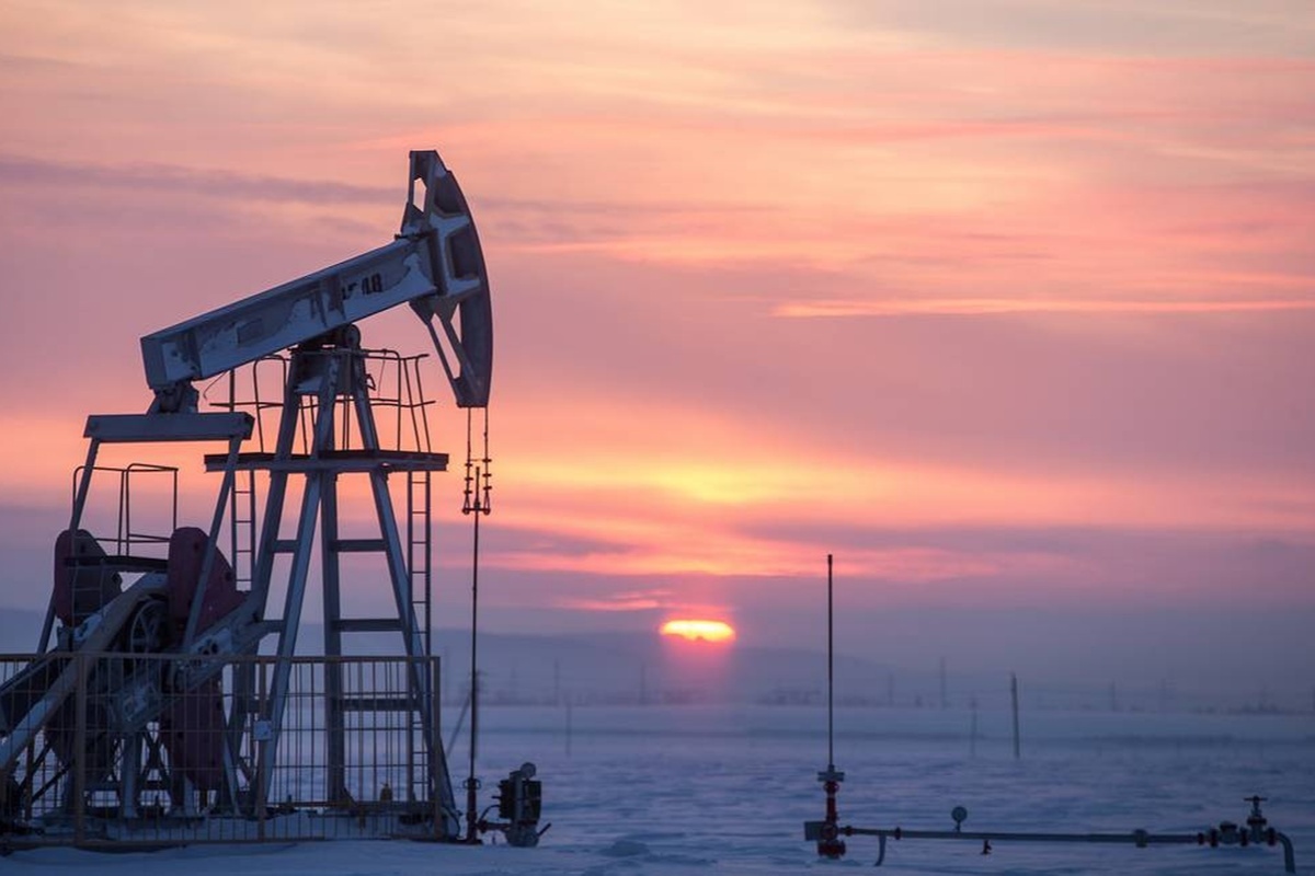    Фото: Matthew Brown, источник: AP Photo