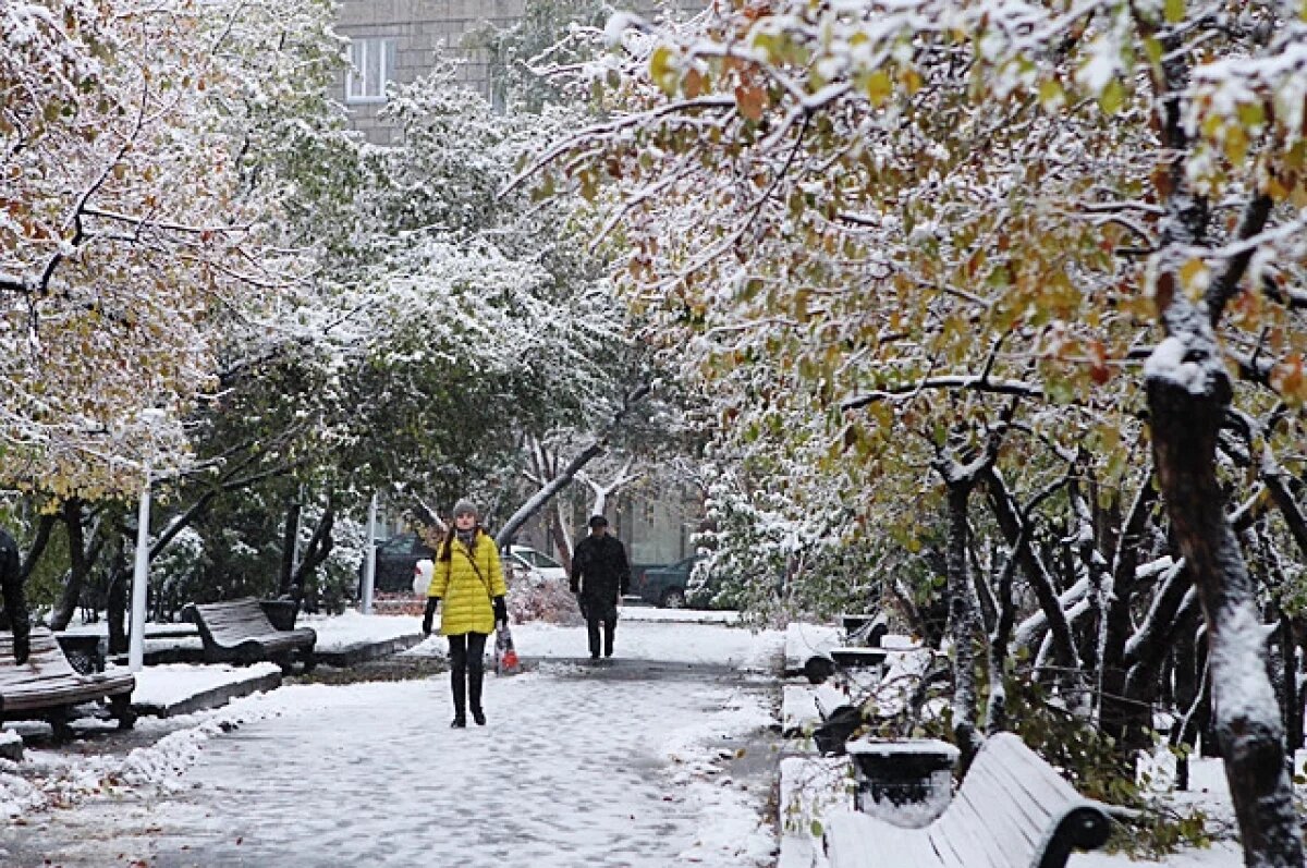    Гидрометцентр обещает теплую погоду в Новосибирске в ноябре