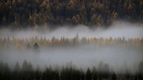    © Sputnik / Александр Кряжев