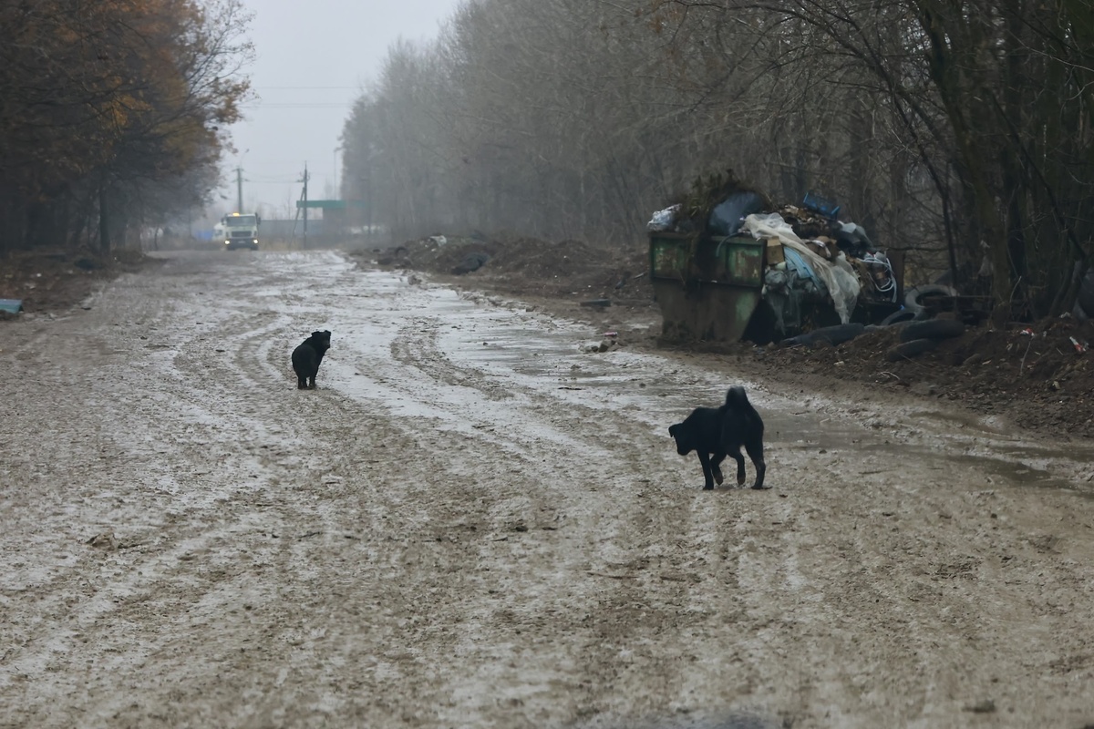    Павел Хацаюк / ИД «Вечерняя Казань»