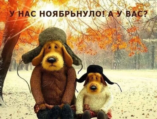 Источник изображения : Яндекс картинка.