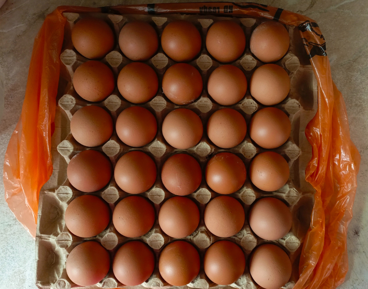 Фото автора.