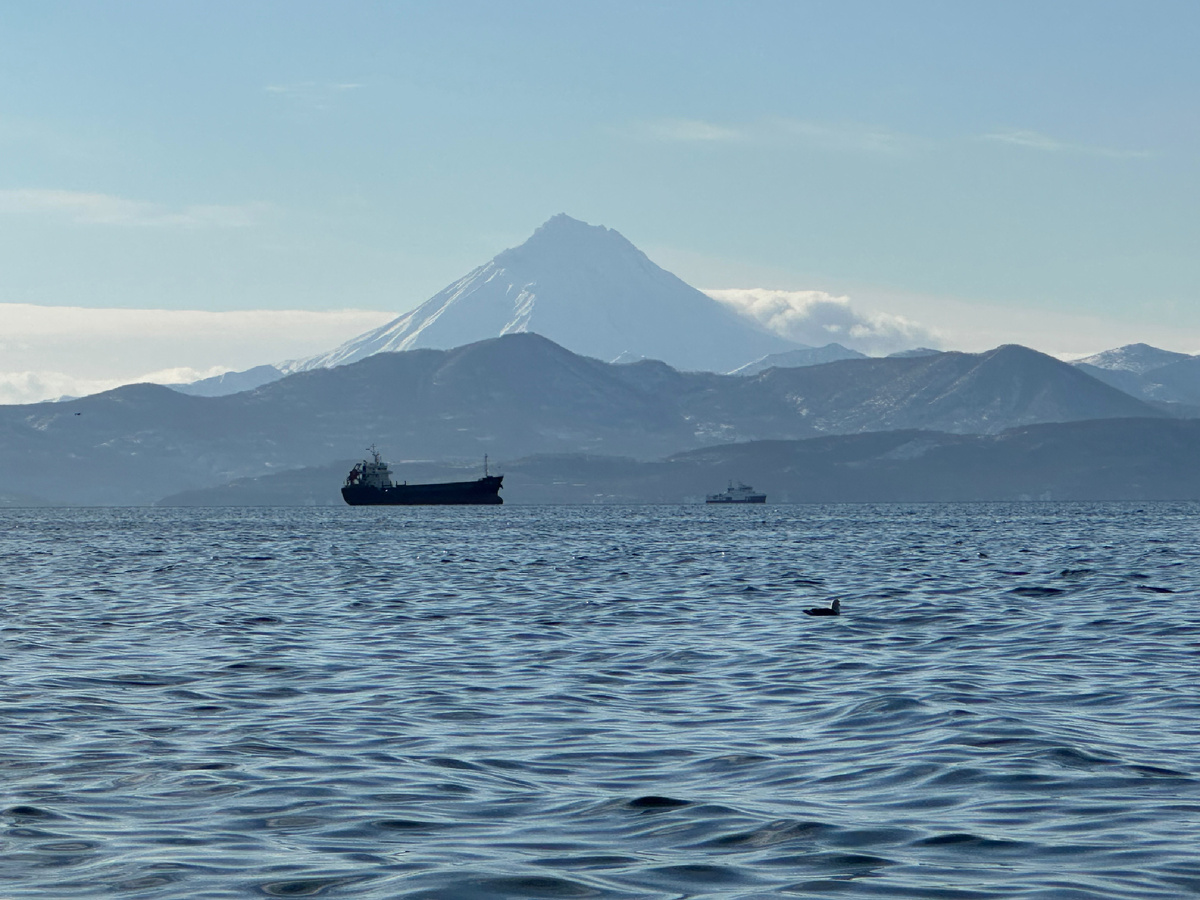 Авачинская бухта — одна из 3-х самых больших бухт мира. Среди больших бухт в мире выделяют Авачинскую бухту (Авачинскую губу) в России, залив Порт-Джексон в Австралии и Сиднейскую бухту в Австралии
