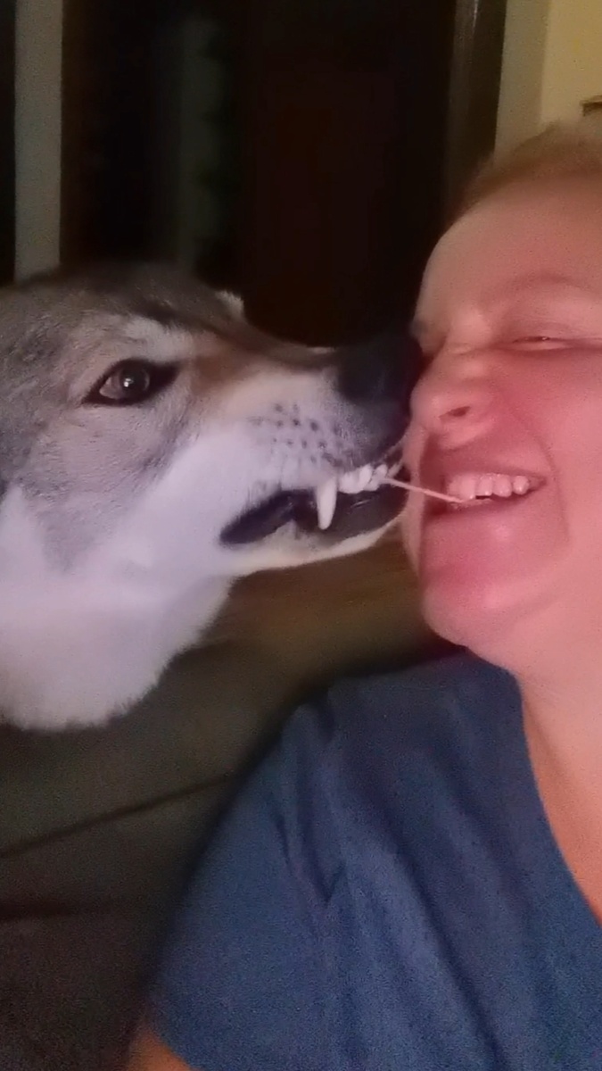 Молчаливая битва крепких зубов и правильных прикусов 