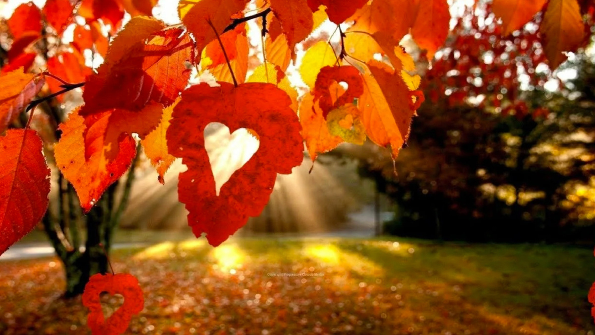 Авторские Стихи о любви ее поиске и ожидании