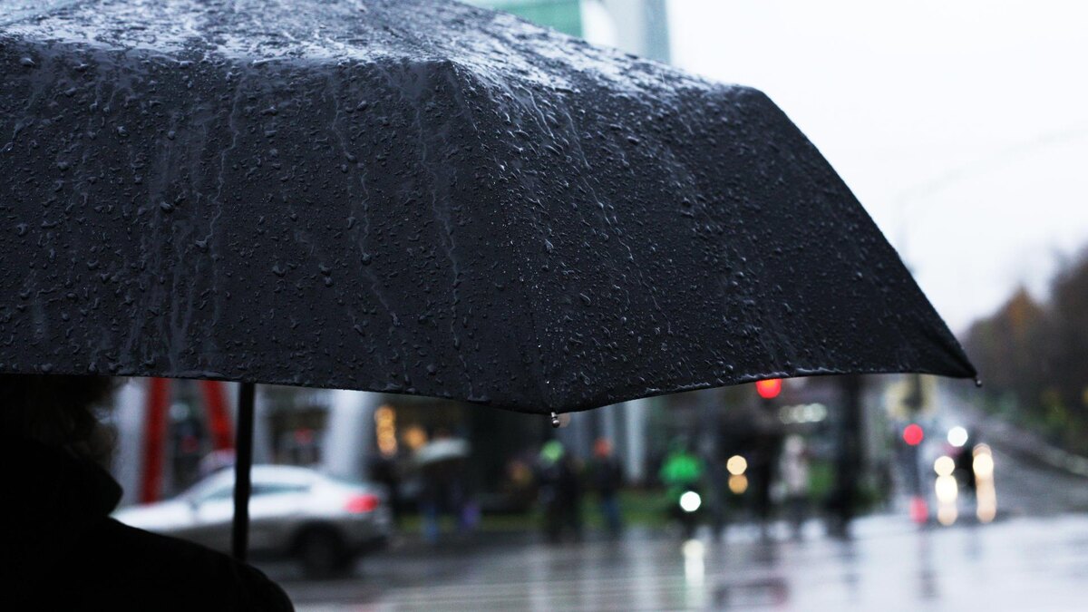    Фото: ИЗВЕСТИЯ/Юлия Майорова