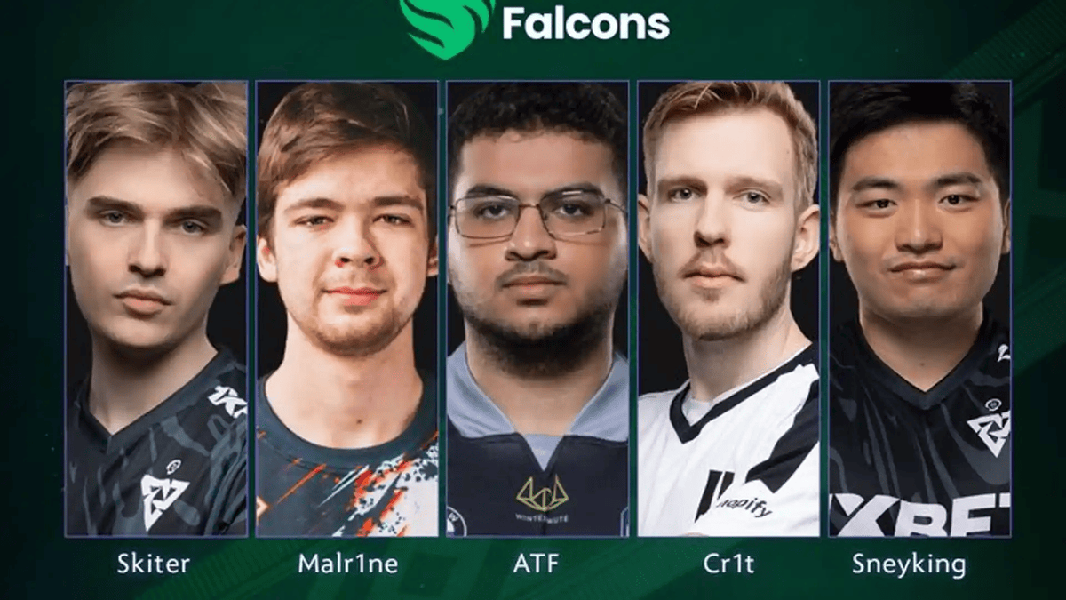 Источник: официальный сайт Team Falcons