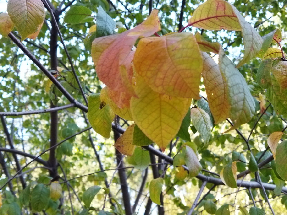 Фото из личного архива автора