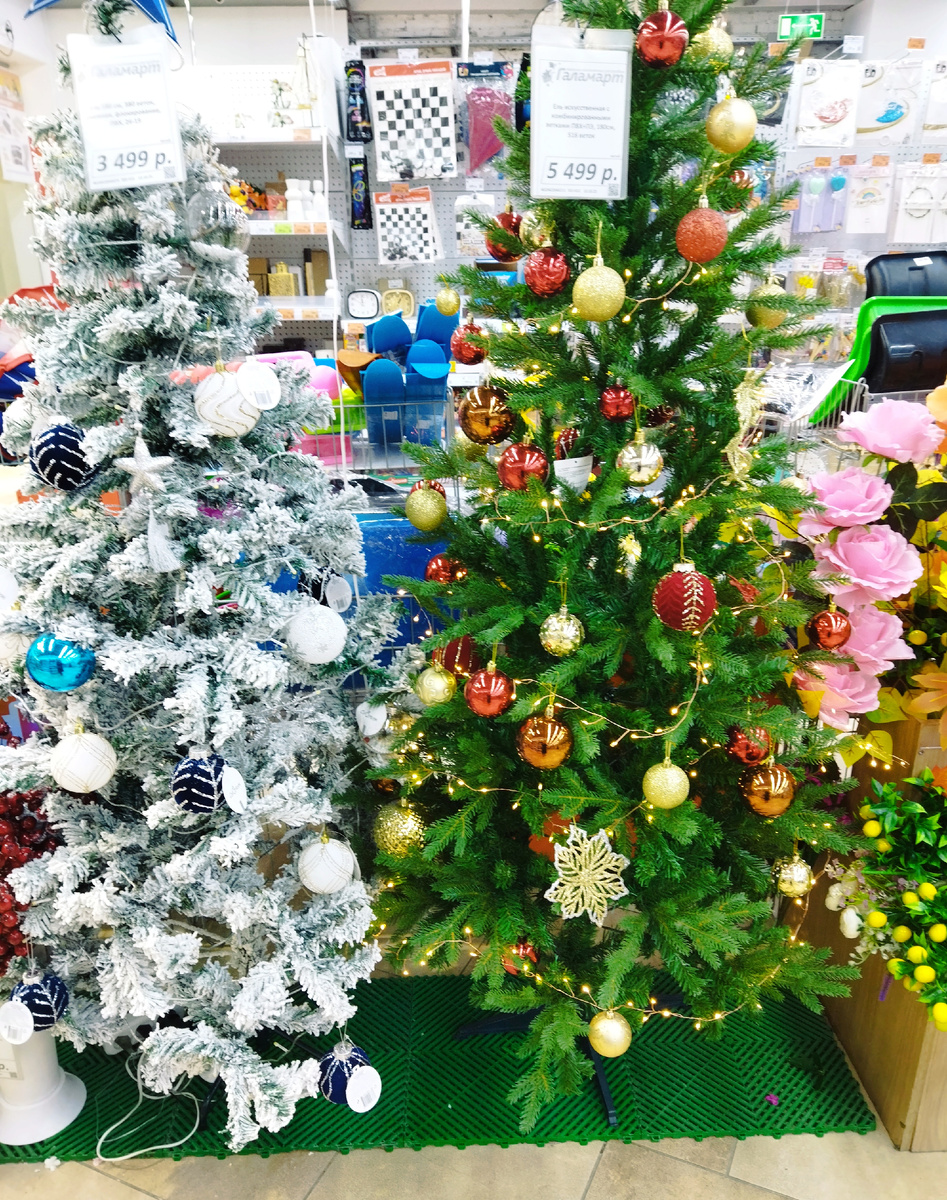 Фото автора, листайте⏩