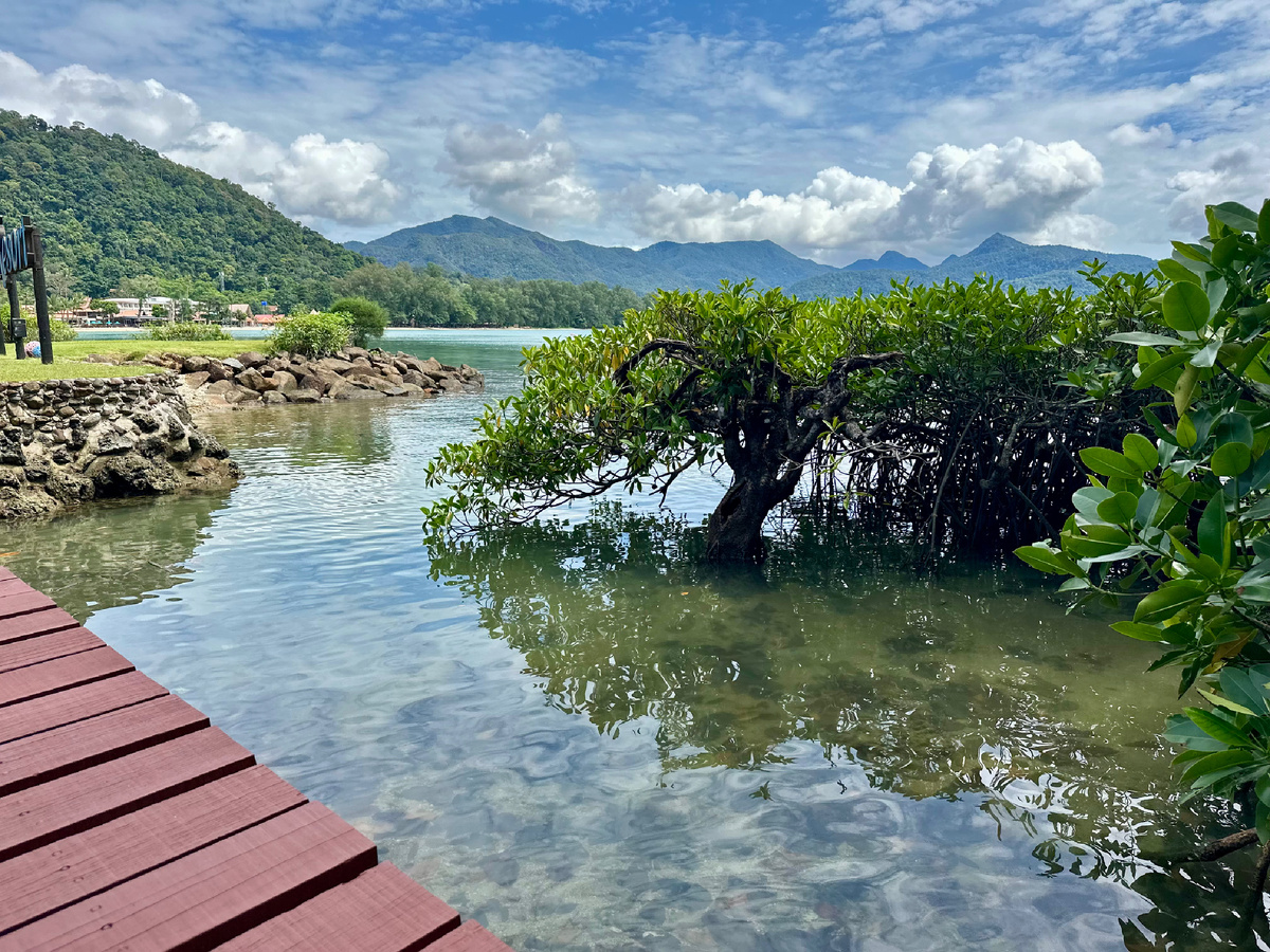 На острове Ко Чанг.