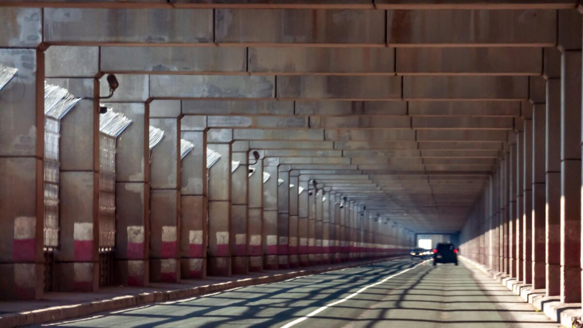    Фото: globallookpress.com/Svetlana Vozmilova