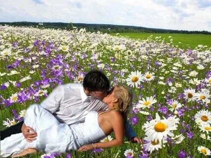 Картина из открытого источника сети Интернет.