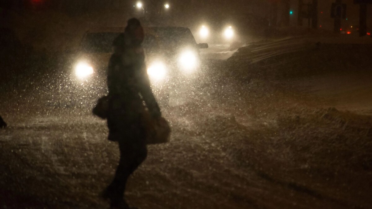    Фото: Starikov Pavel/Shutterstock/Fotodom