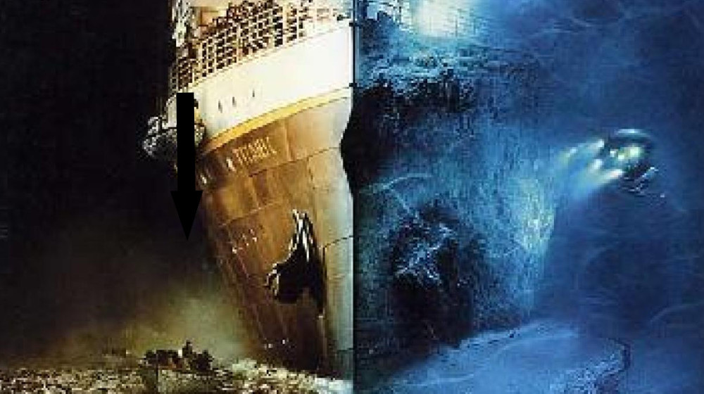    живые хищники на Титанике: выжившие рассказали шокирующие факты о нападениях