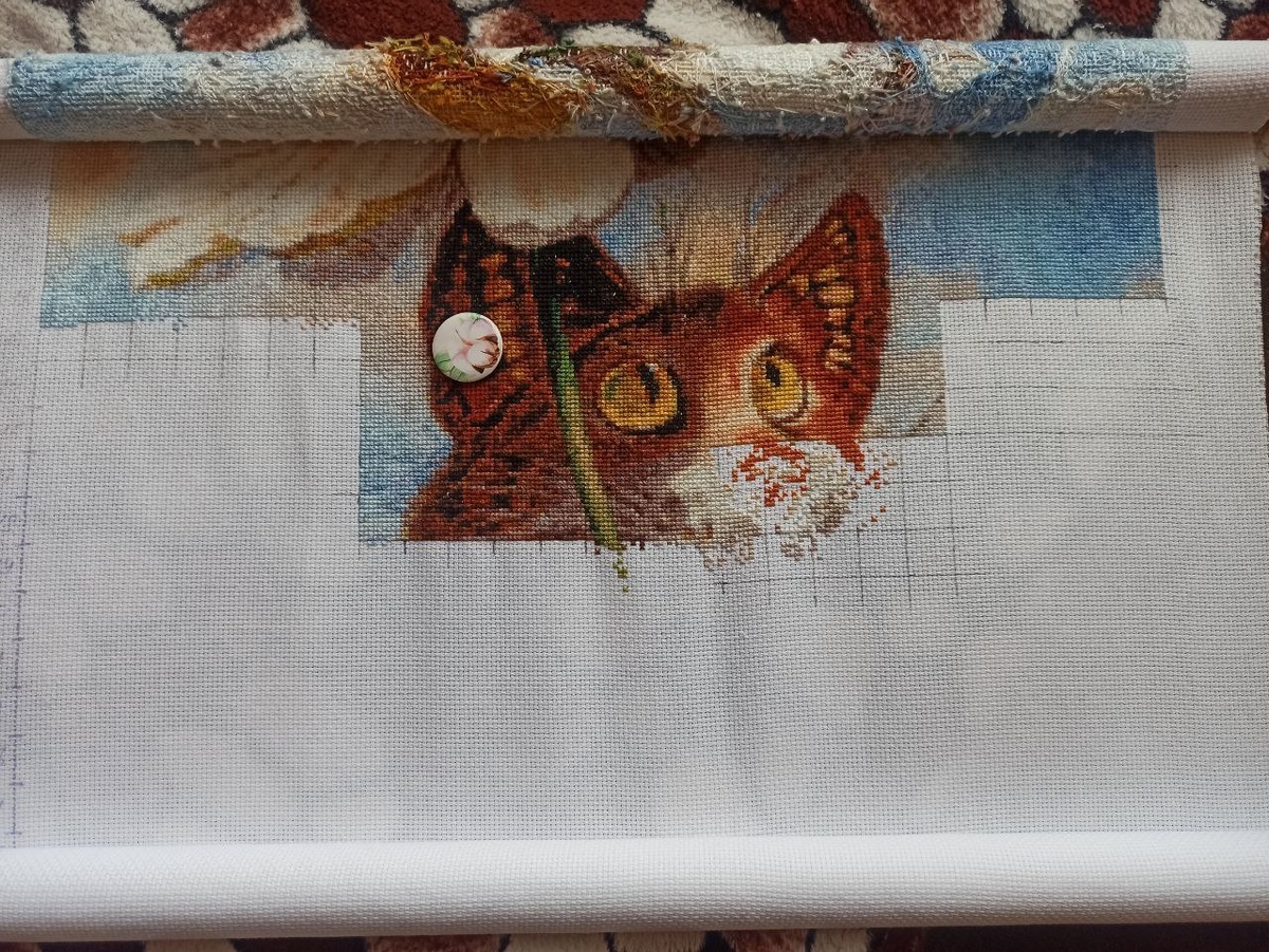 Стартовое фото на начало марафона