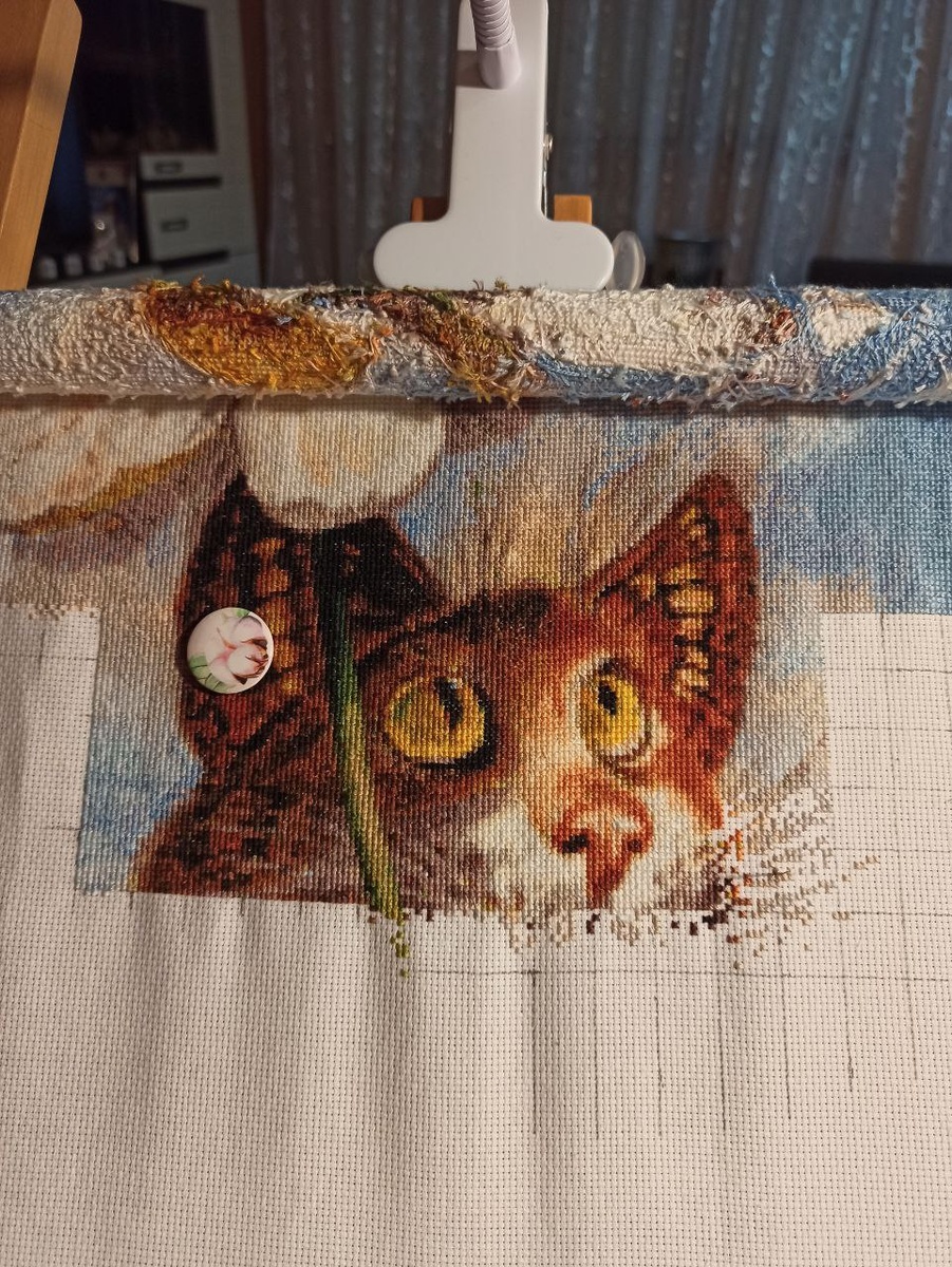 Спустя 6 часов появился нос. Ну разве он ни прелесть?