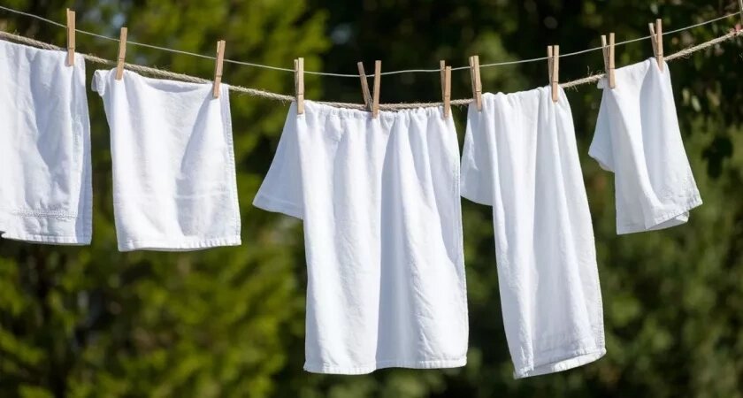    Не гель и не сода: нашла идеальное средство для стирки – лучше порошка в 10 раз: опытная прачка подсказала