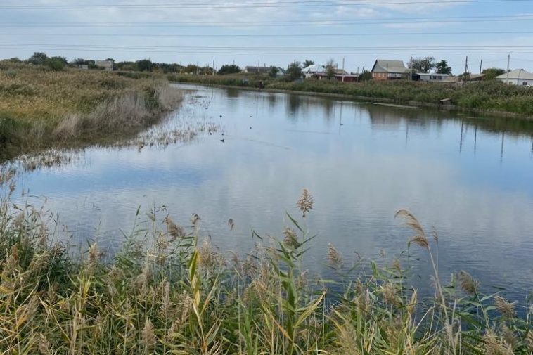 Фото: администрация Волгоградской области
