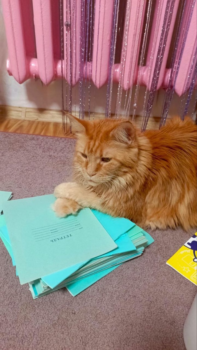 Тесла лично контролирует выполнение домашних заданий.