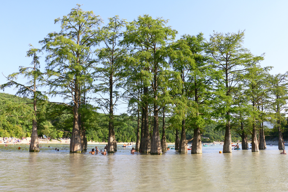 Кипарисовое озеро в п.Сукко, июнь 2019г. Фото автора 