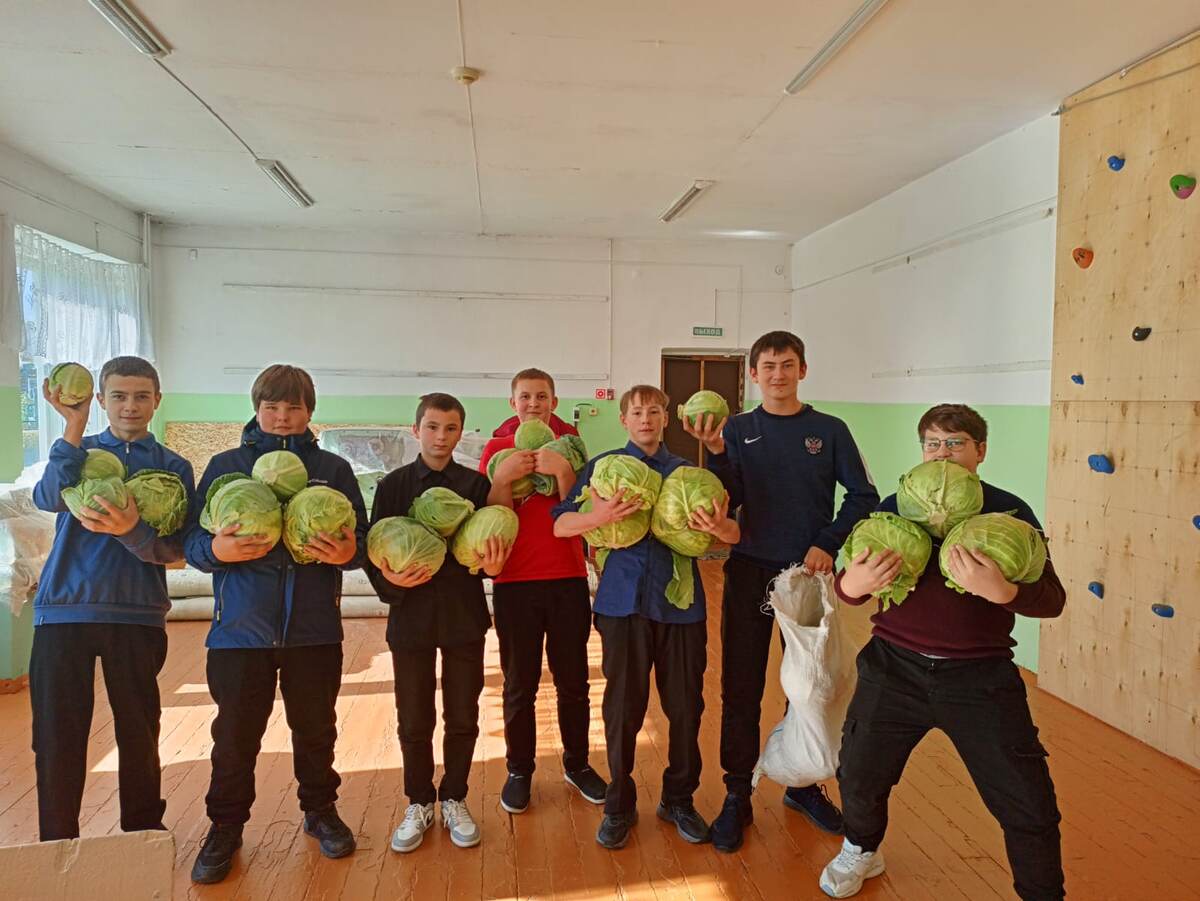 выращенный урожай