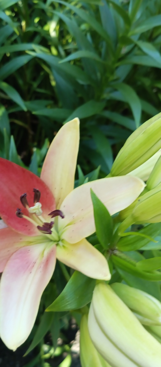 Да уж, лето пролетело и ага!?