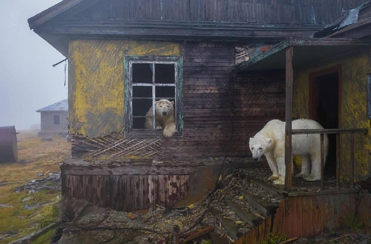 Фото из интернета