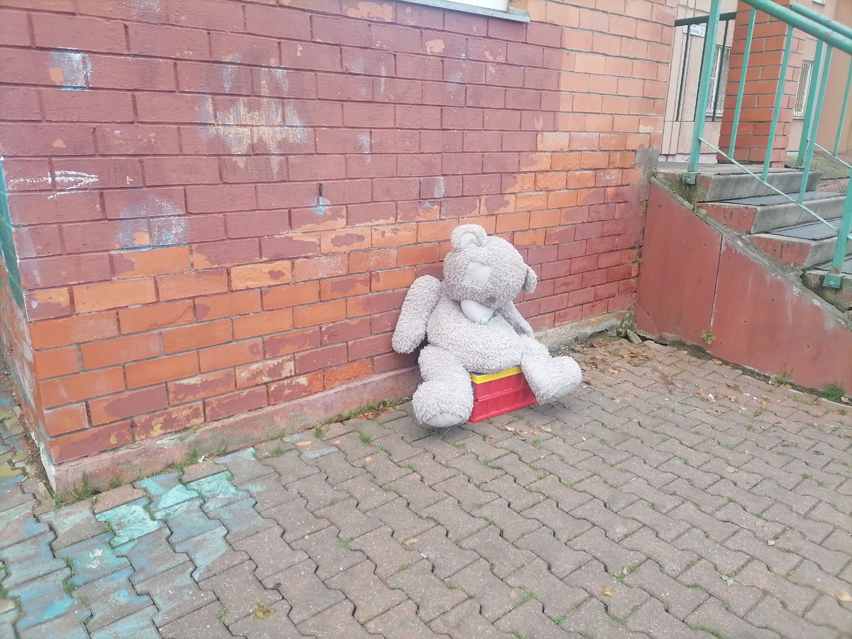 У соседнего подъезда бросили медведя. Настроение такое же как у него. 