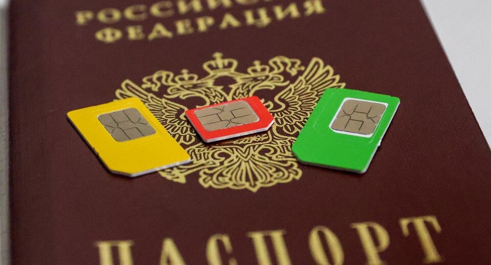    Shatokhina Natalia/news.ru / www.globallookpress.com