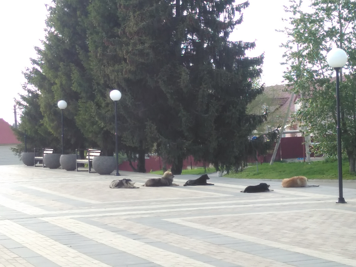 Около РДК-фото автора.