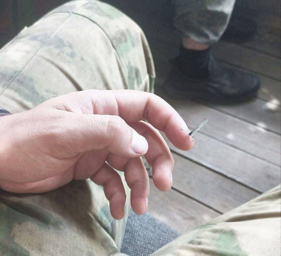 Из свободного доступа интернет 