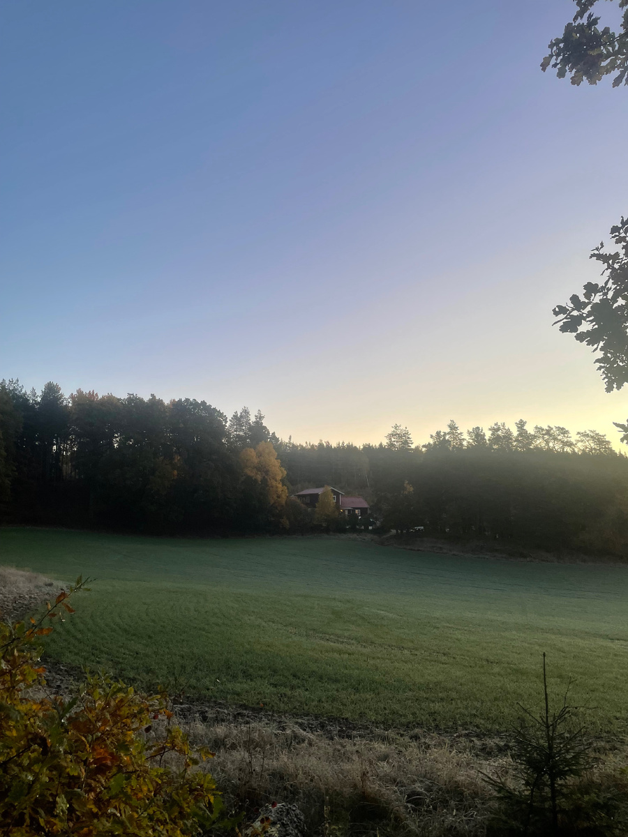 Фото из личного архива 