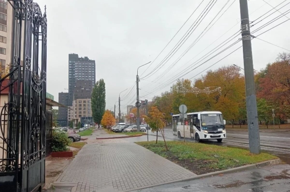    В Воронеже скорректируют движение автобусных маршрутов в центре города