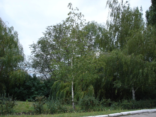 Спекуляция или инвестиции.