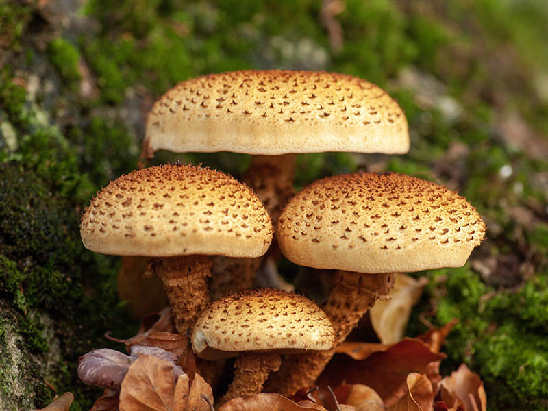 Фото: ru.freepik.com